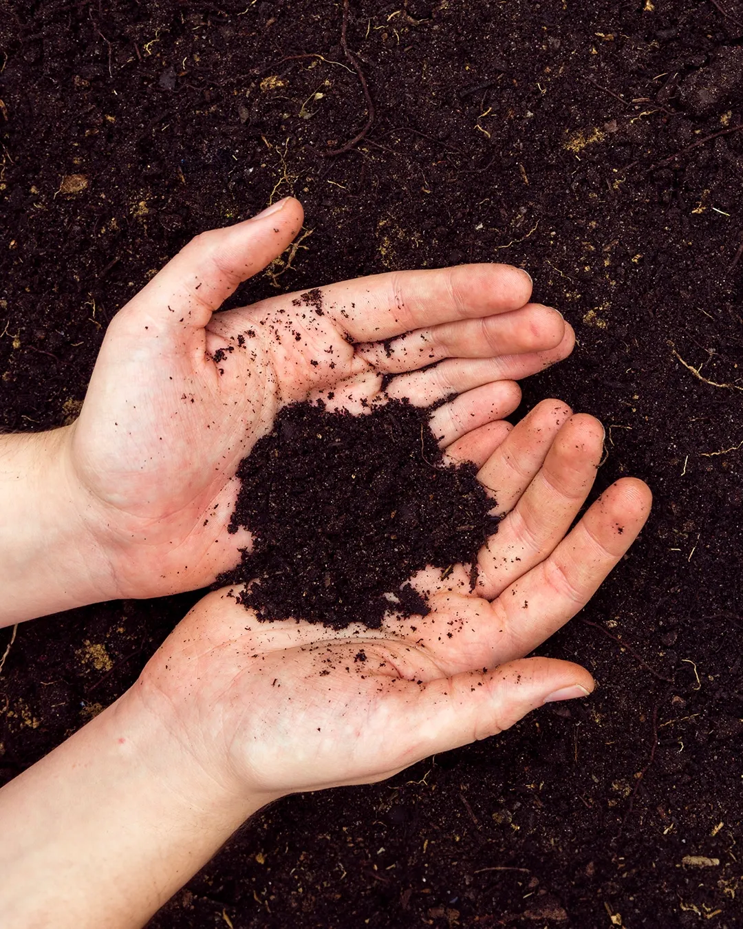 Green Thumbs Up for a Carbon Neutral Future