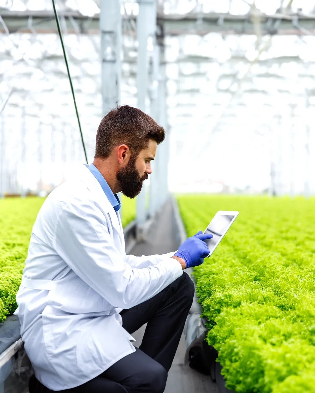 xFarm - where farmers have their world on their Palm