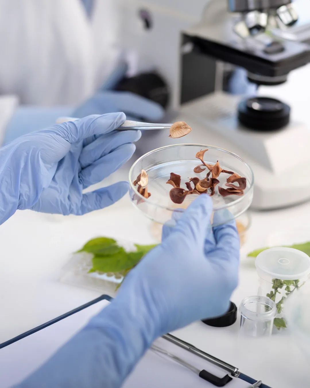 Shiok Meats: Lab-Grown Seafood—No Ocean Required, Just a Dash of Science