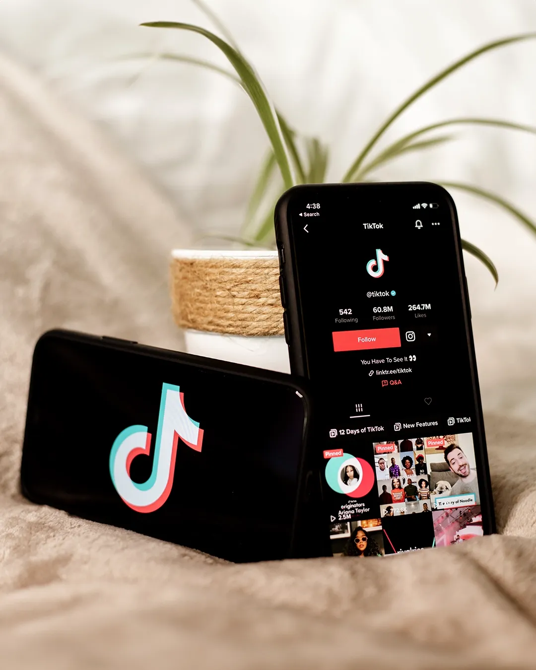Montana's TikTok Ban Temporarily Blocked by U.S. Federal Judge