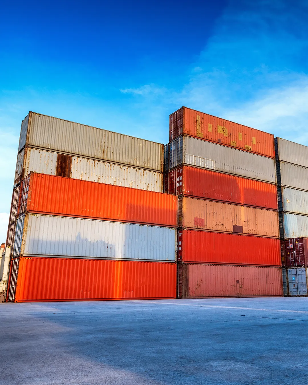 trebu: Untangling Logistics with Data Magic