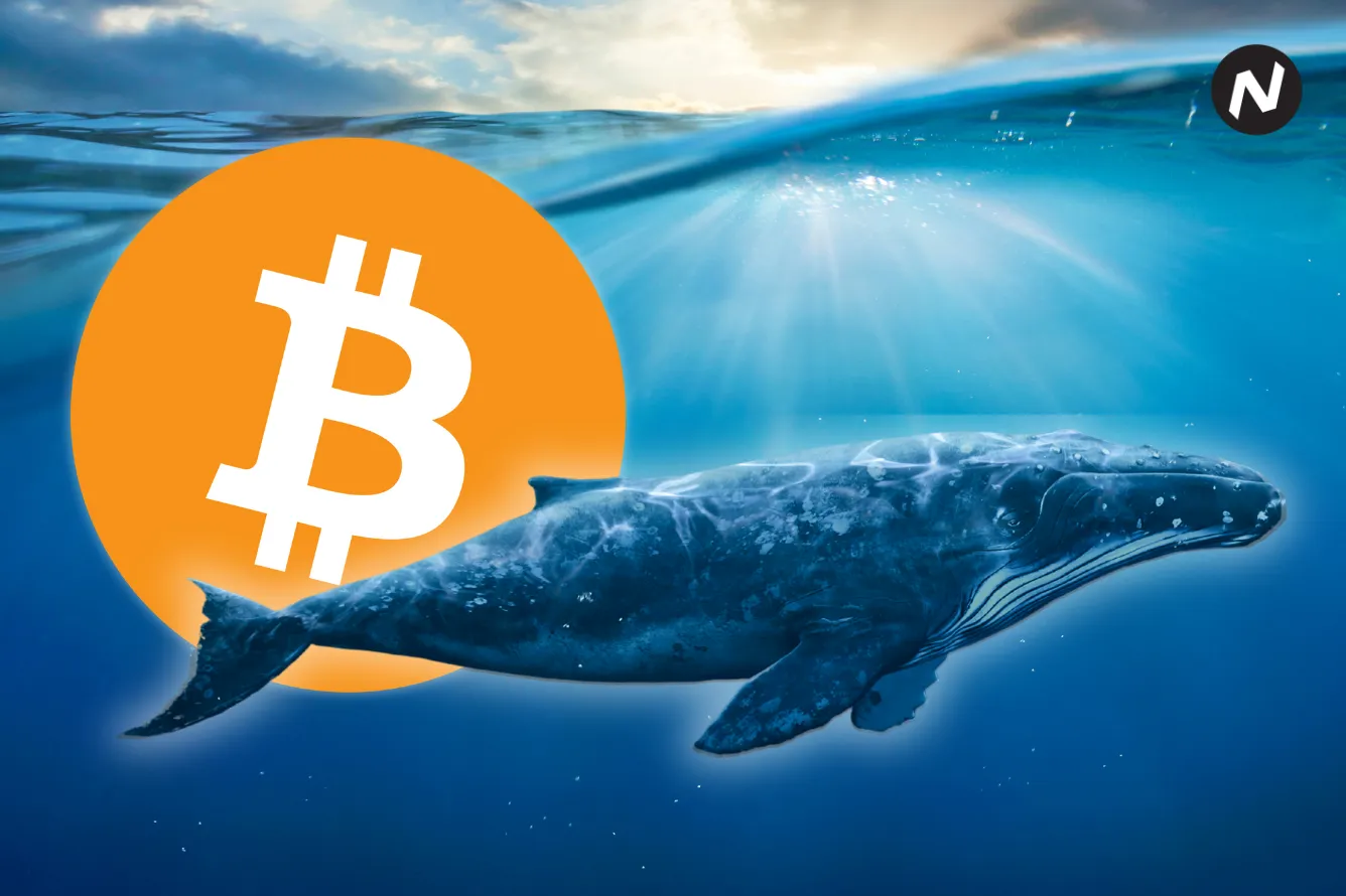 Dormant Bitcoin Wallet from Satoshi Era Moves 687 BTC Worth $44M