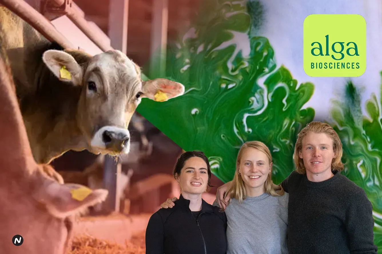 Alga Biosciences' Moo-ving for Green Future & against Methane Burps