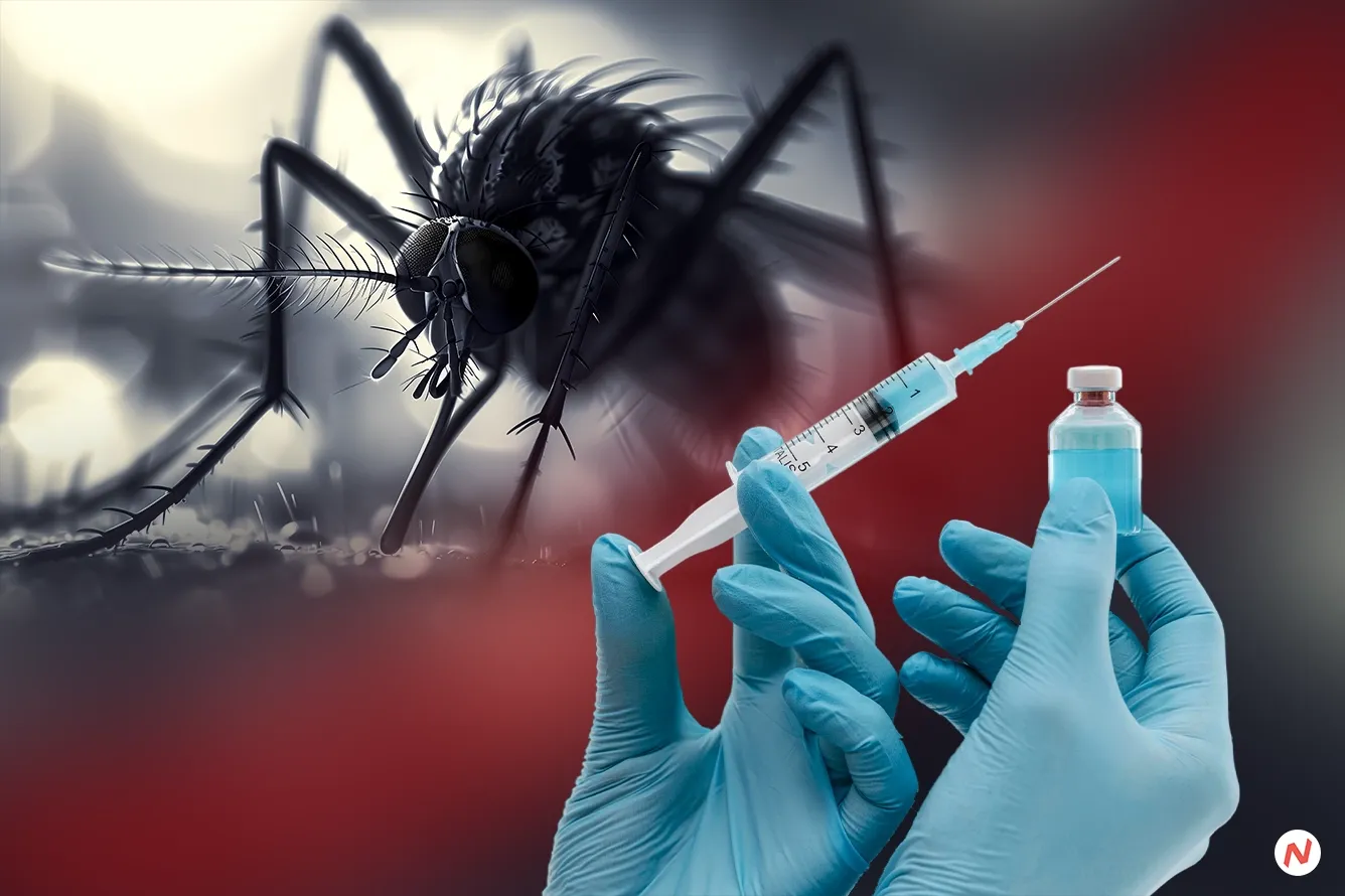 WHO Pre-Approved Qdenga Vaccine Reduce Dengue Cases by Over 50%