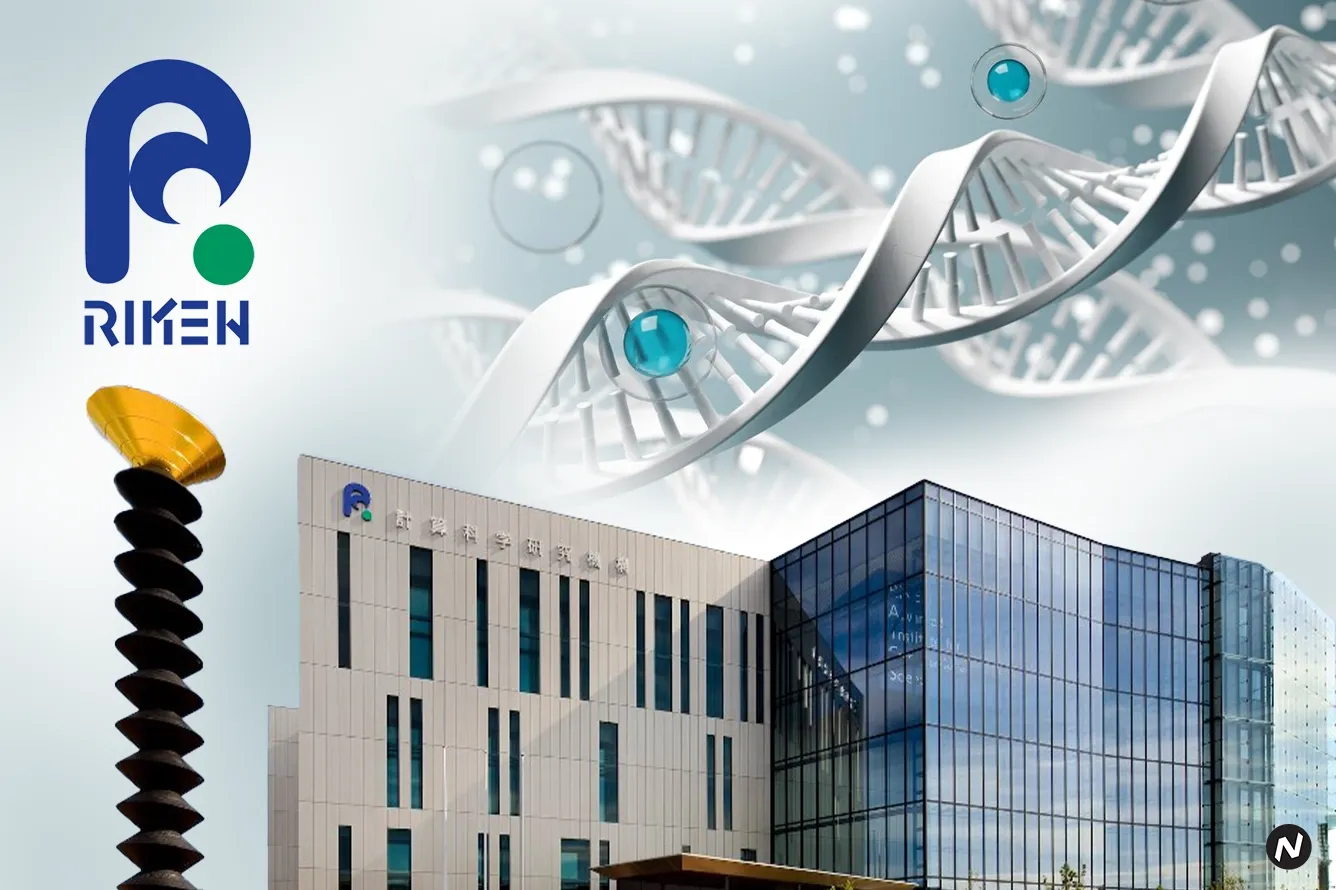 New DNA Replication Discovery Shakes Up Embryology and IVF Research
