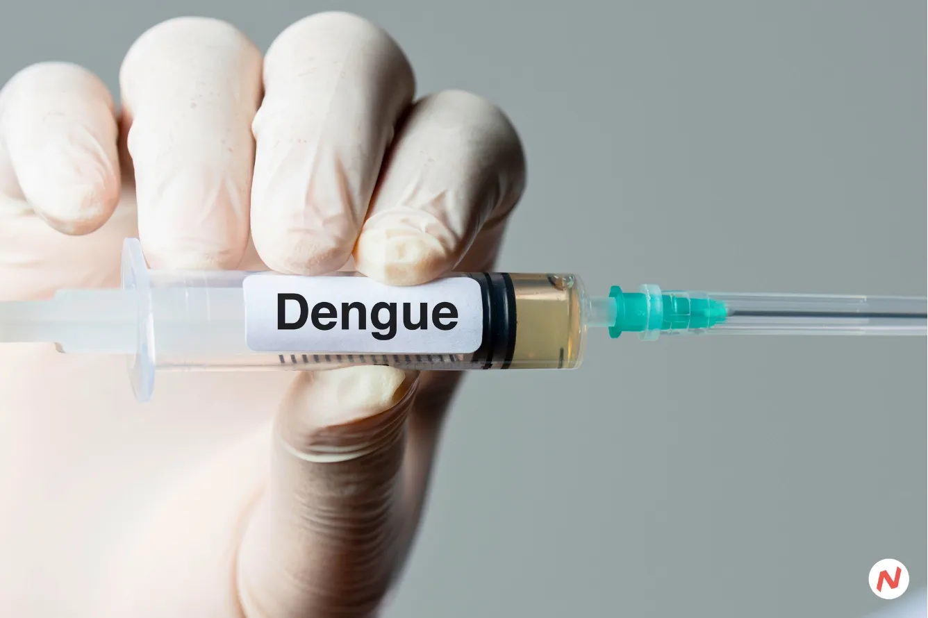 India Launches Phase 3 Trial for First Indigenous Dengue Vaccine