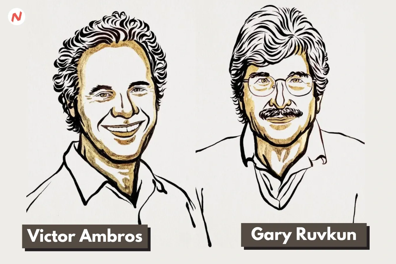 MicroRNA Pioneers Ambros and Ruvkun Win 2024 Nobel Prize in Medicine