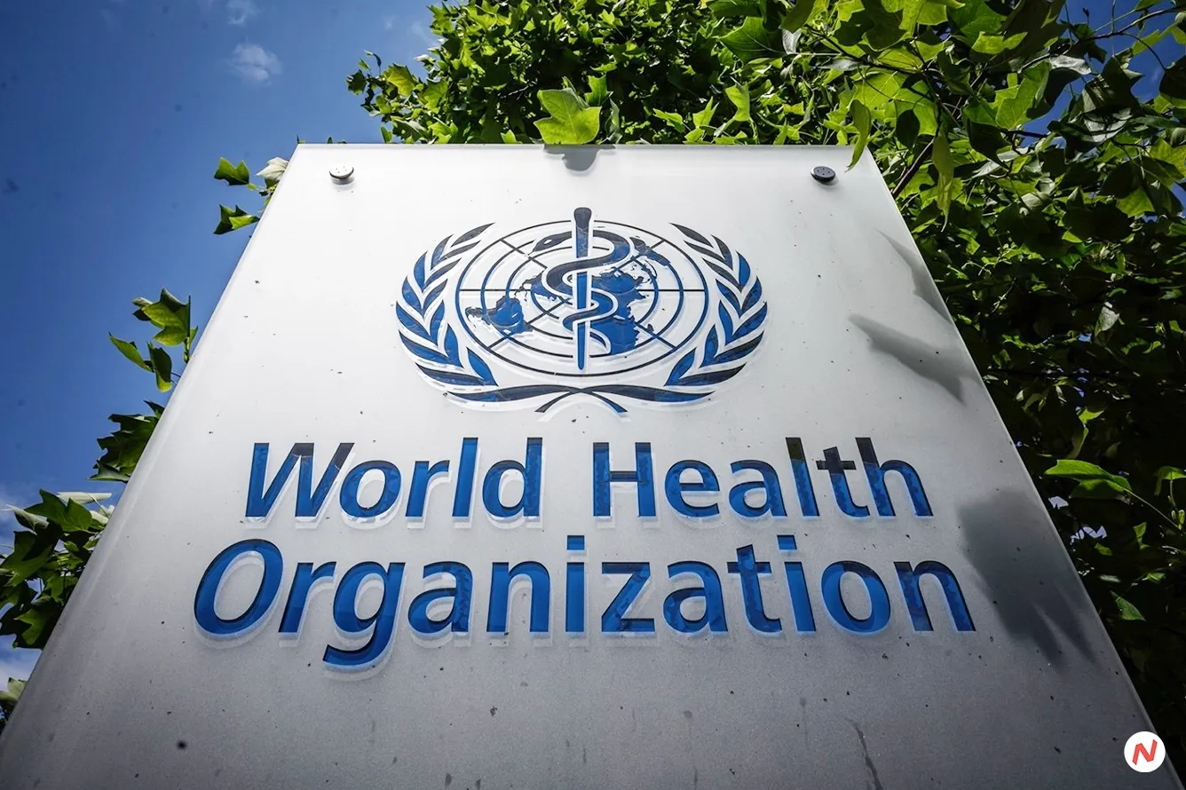 WHO Launches Global Strategic Plan to Fight Rising Dengue and Other Aedes-Borne Arboviral Diseases